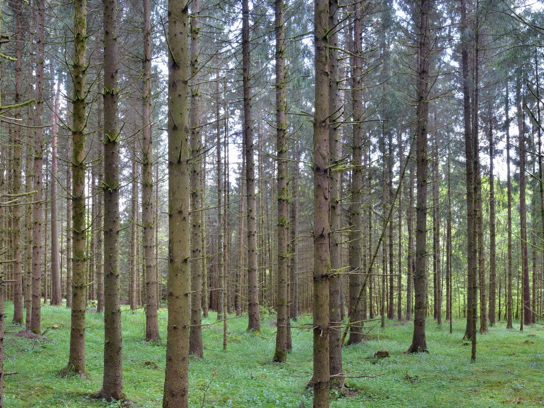 Schwäbische Alb – Biodiversity Exploratories