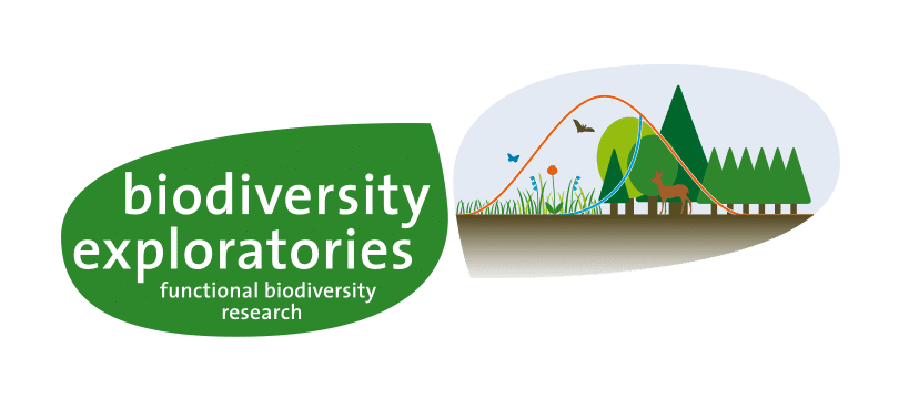 Biodiversity Exploratories – Research for biodiversity.